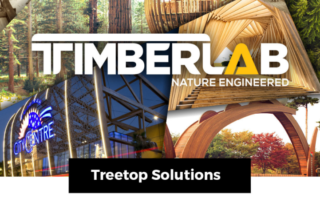 TimberLab Newsletter