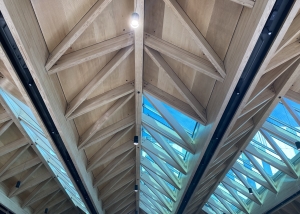 B201 Atrium glulam roof.jpg