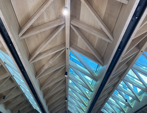 UNIVERSITY OF AUCKLAND B201